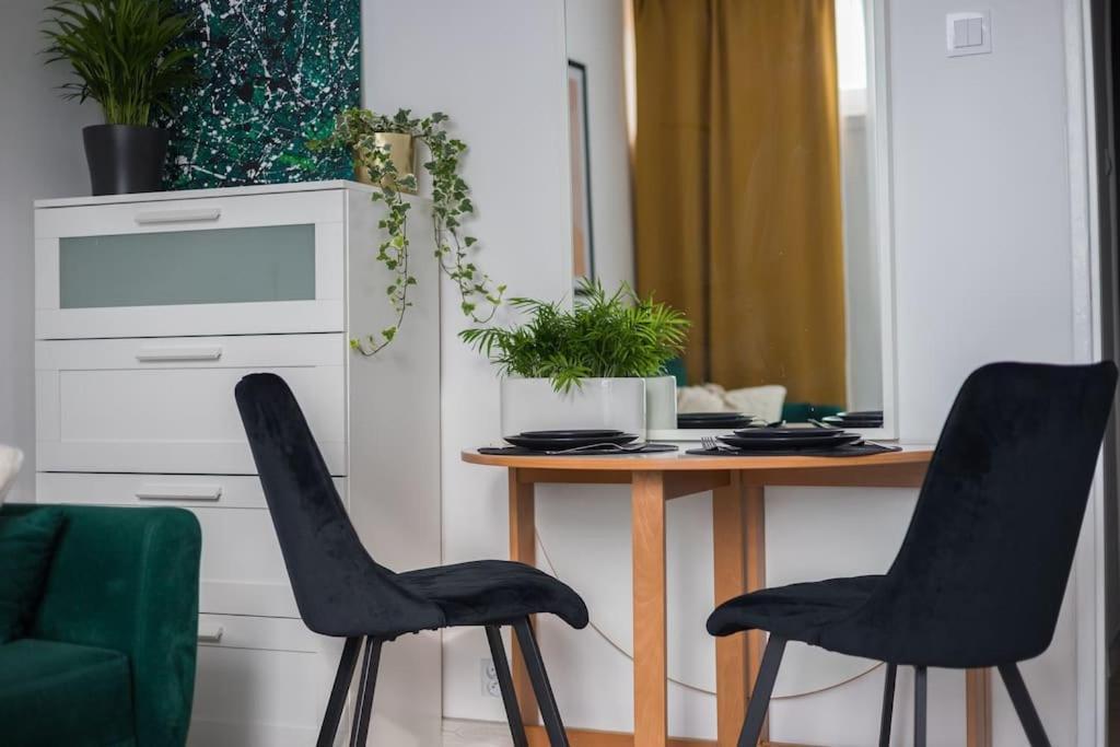 Specious City Center Studio With Park View Warszawa Zewnętrze zdjęcie